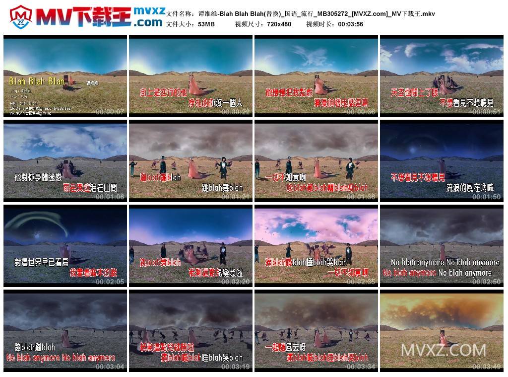 谭维维-Blah Blah Blah(替换)_国语_流行_MB305272